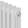 Дизайн-радиатор Royal Thermo Insignia C2180, 4 секции, RAL9016 купить в СОМ
