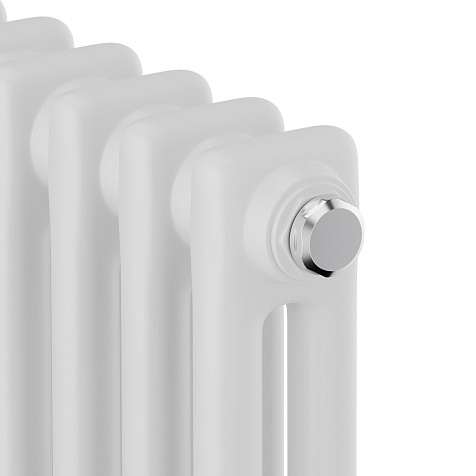 Дизайн-радиатор Royal Thermo Insignia C2180, 4 секции, RAL9016 купить в СОМ
